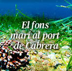 El fons marí l port de Cabrera