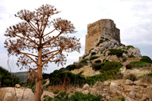 El castell. © Arxiu Grup Serra
